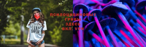 СК Алзамай