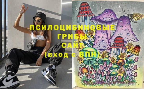 хмурый Алексеевка