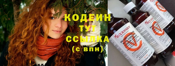 хмурый Алексеевка