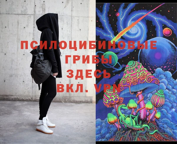 хмурый Алексеевка
