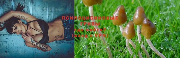 синтетический гашиш Алексин