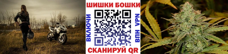 Бошки Шишки Amnesia  Фатеж 